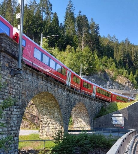 Begeisterte Reisegäste in der Schweiz
