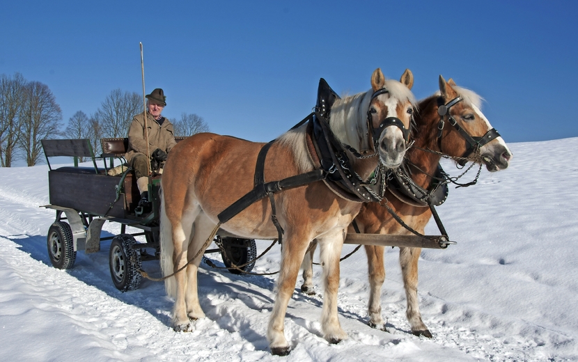 Pferdekutsche
