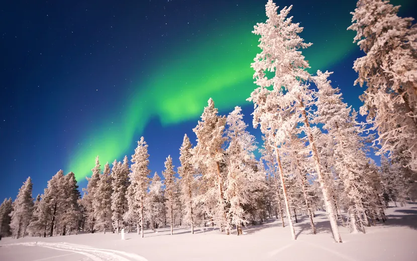Nordlichter