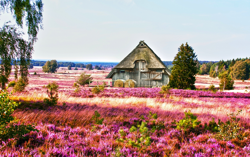Lüneburger Heide