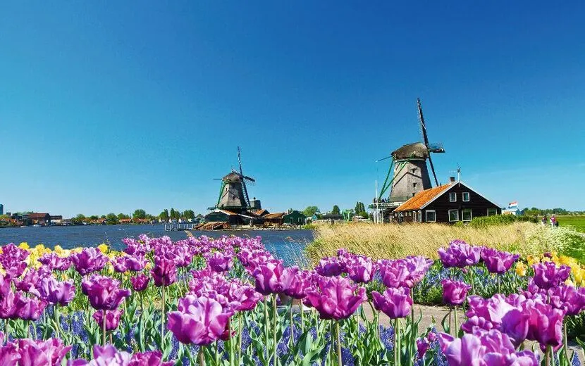 Hollands Wahrzeichen