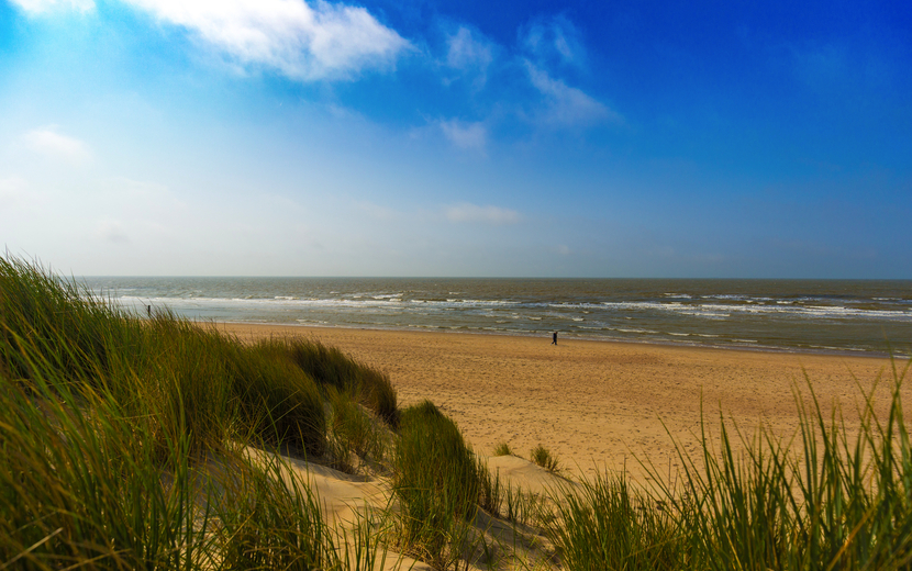 De Haan 