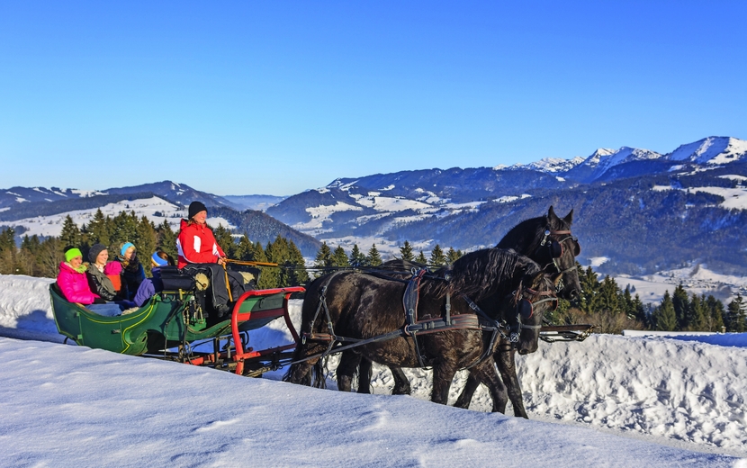 Pferdeschlittenfahrt