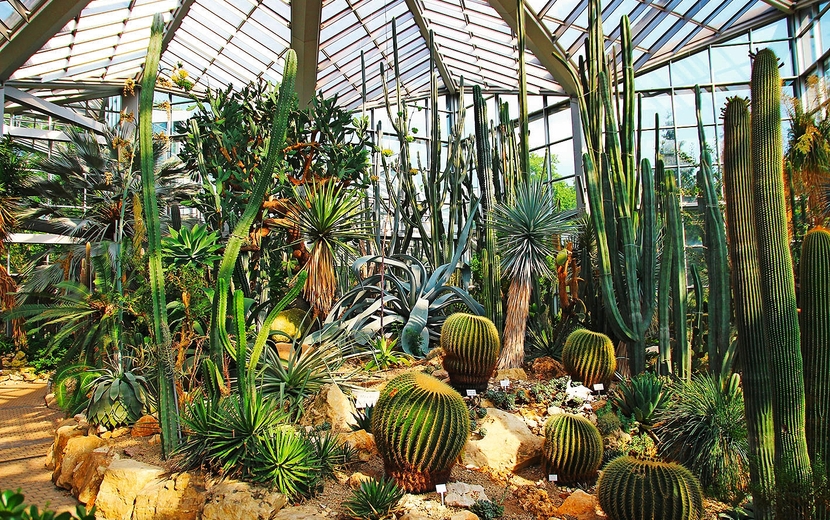 Frankfurt am Main, Botanischer Garten