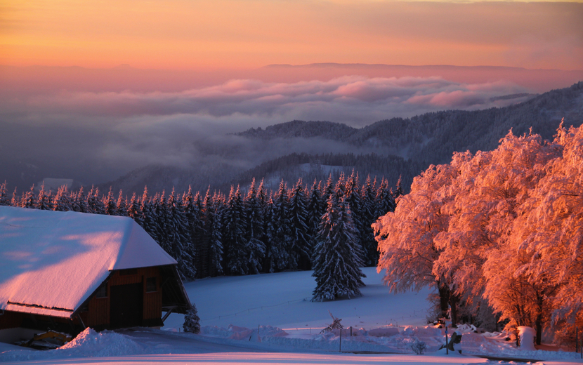 Schwarzwald