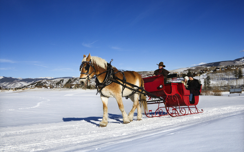 ©iofoto - stock.adobe.com Pferdeschlittenfahrt