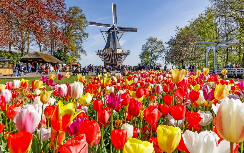 Keukenhof 