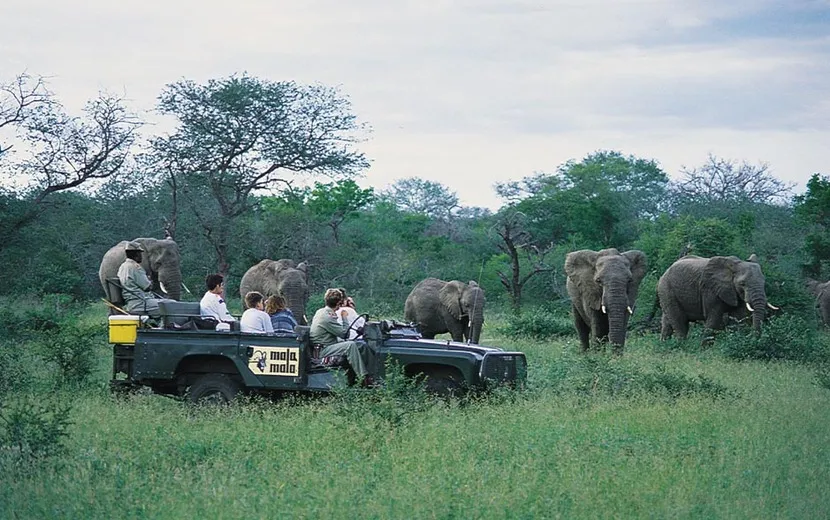 www.southafricantourism.de