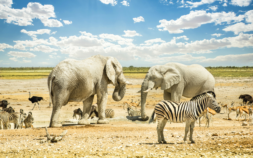 Etosha-Nationalpark