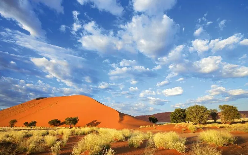 Desert landscape, Sossusvlei, Namibia