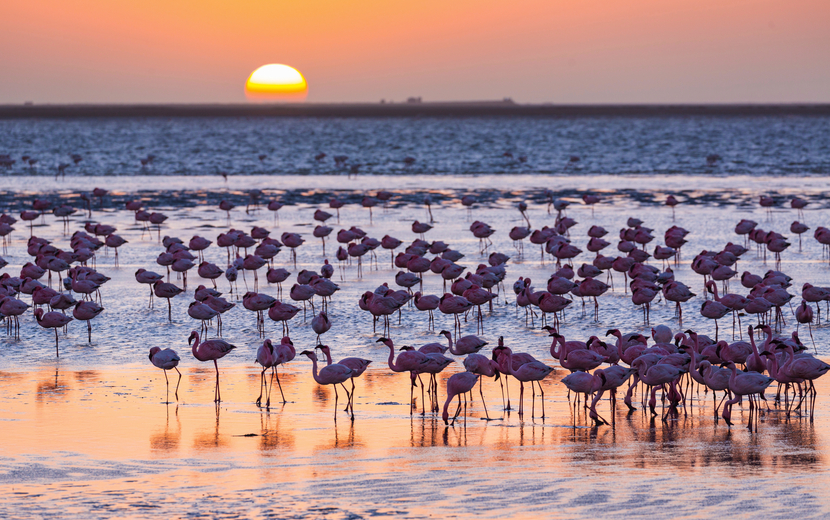 Walvis Bay 