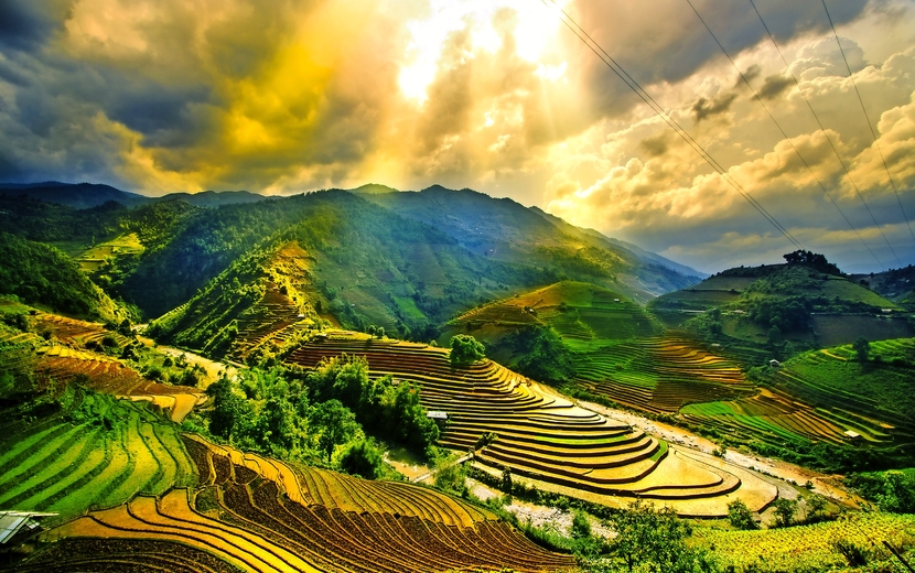 Reisterassen von Mu Cang Chai