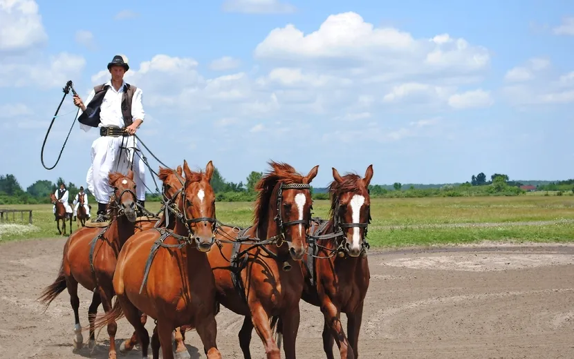 Puszta, Reiterspiele