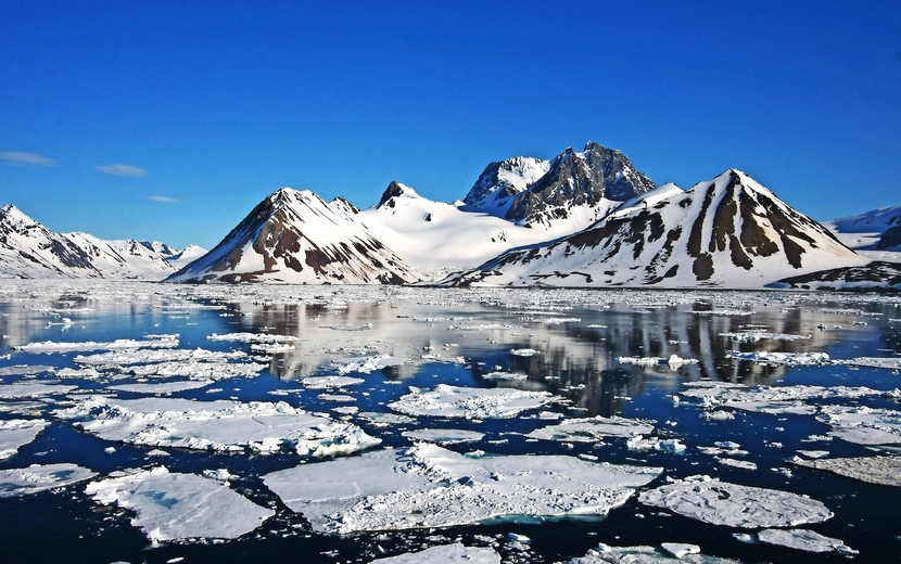 Eisschollen auf dem Hornsundfjord