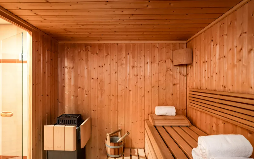 Hotel Mercure Antwerp City South, Sauna