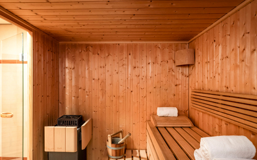 Hotel Mercure Antwerp City South, Sauna