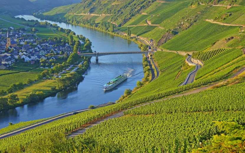 Flusskreuzfahrtschiff auf der Mosel bei Trittenheim