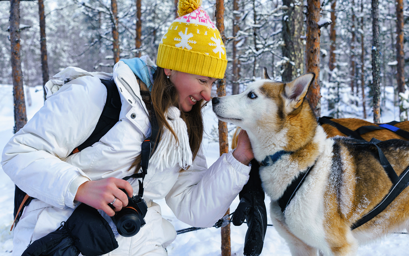 Hundschlitten-Tour
