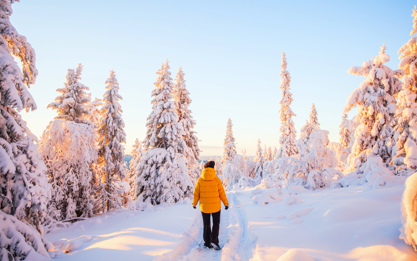 Winterwald in Finnland