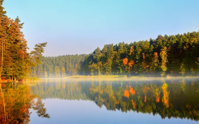 Herbstmorgen am See