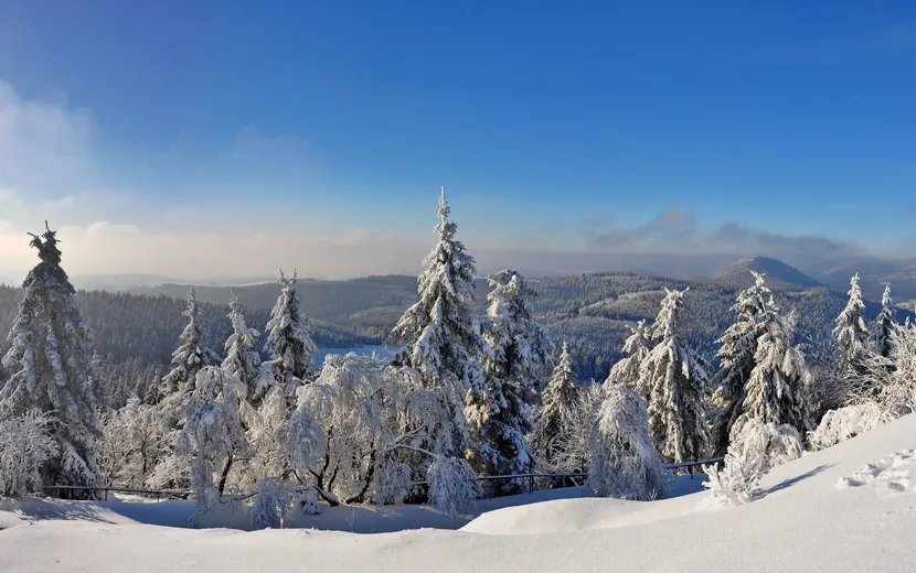 Thüringer Wald