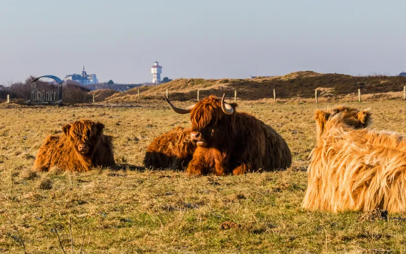 Langeoog