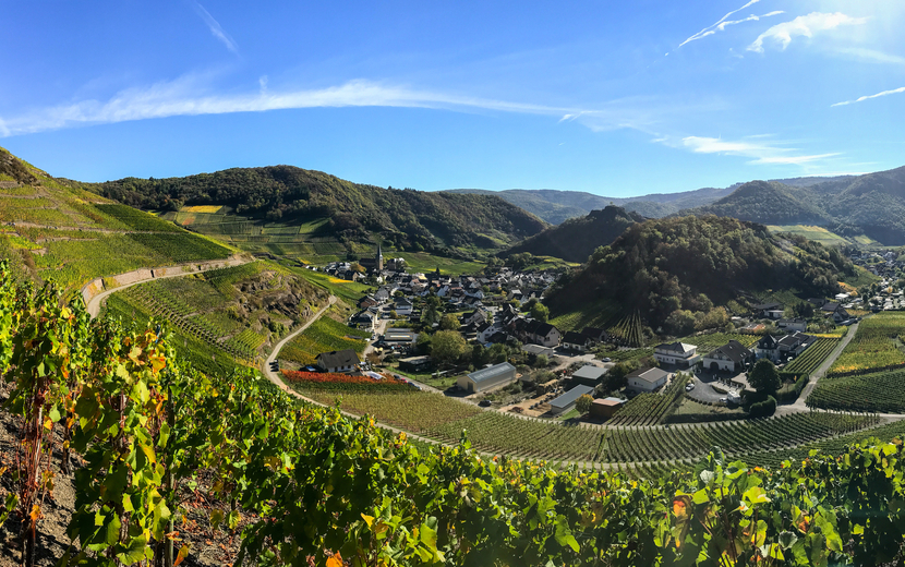 Panorama von Mayschoß im Ahrtal vom Rotweinwanderweg, Deutschland