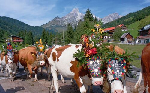 © Tourismusinformation Filzmoos © Tourismusinformation Filzmoos