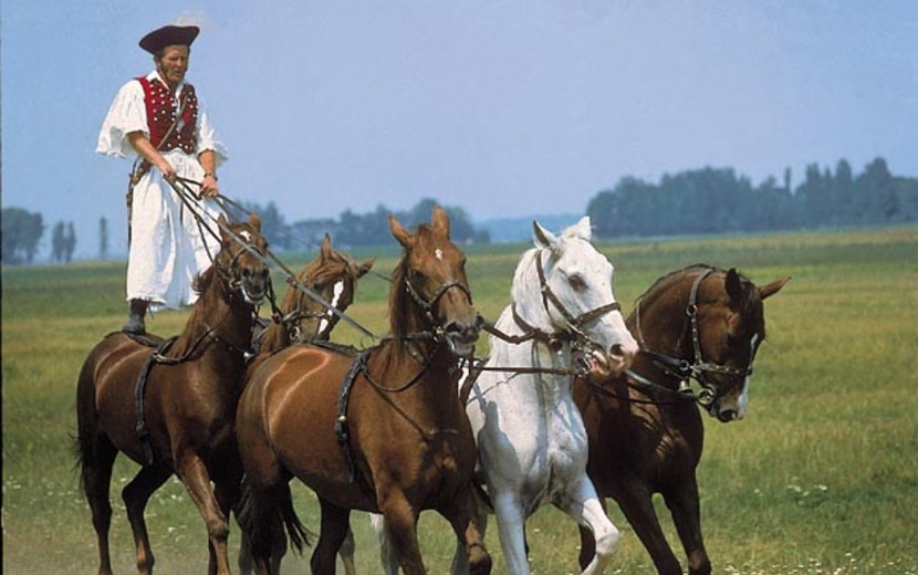 Reiterspiele in der Puszta