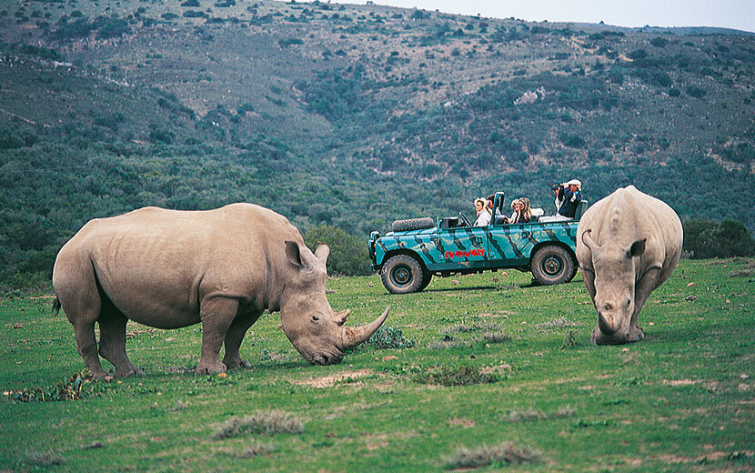 www.southafricantourism.de