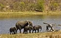 Südafrika
