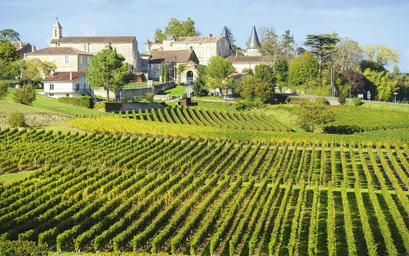 Weinberge von Saint Emilion