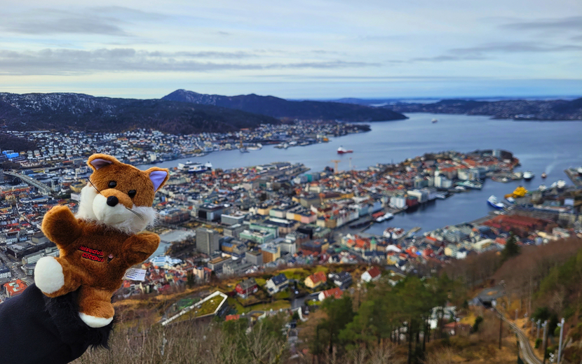 RCC Maskottchen Reico in Bergen auf dem Floyen