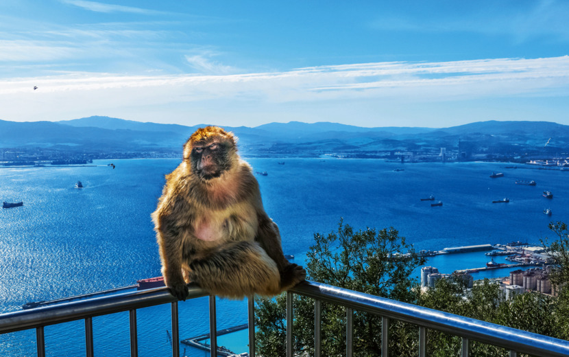 Gibralta mit dem 