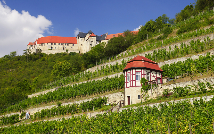 Schloss Neuenburg in den Weinbergen von Freyburg in Sachsen-Anhalt, Deutschland