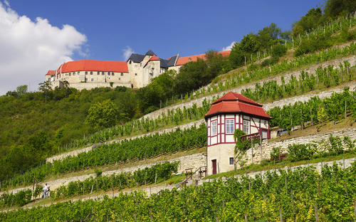 Schloss Neuenburg in den Weinbergen von Freyburg in Sachsen-Anhalt, Deutschland