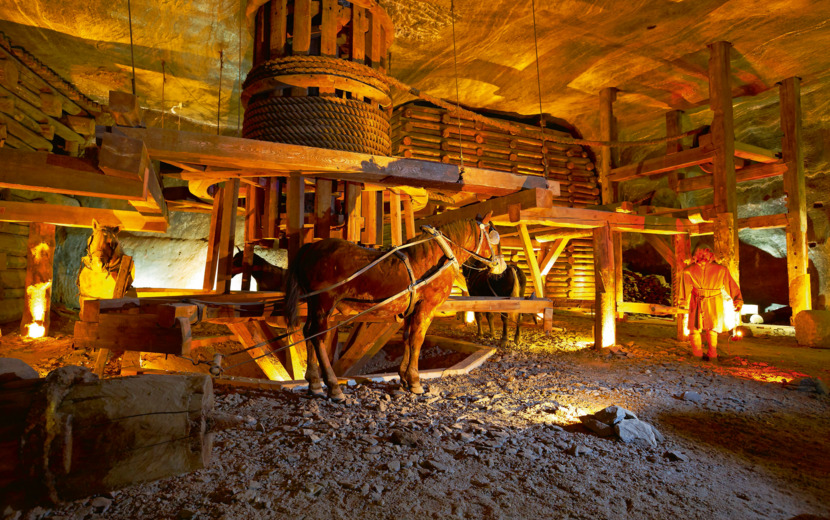 Salzbergwerk Wieliczka 