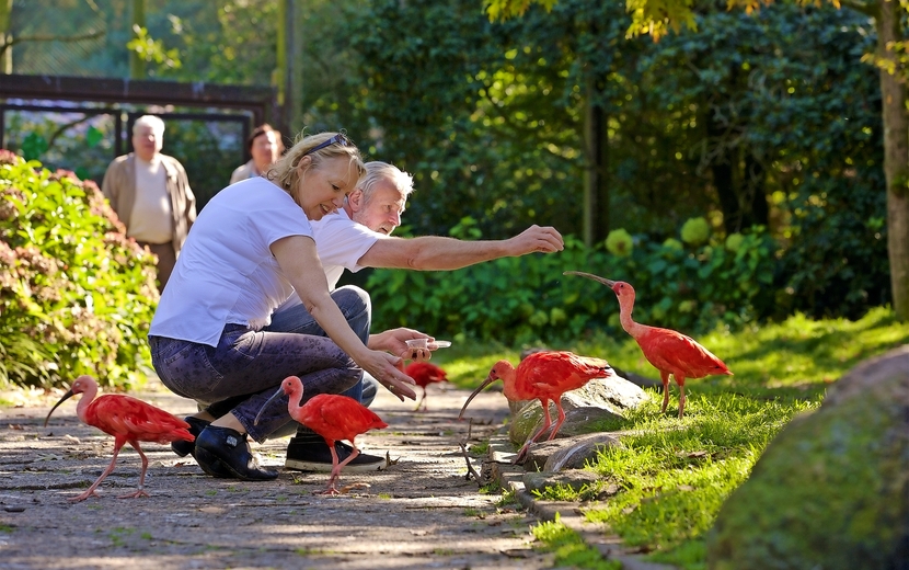 Vogelpark Walsrode