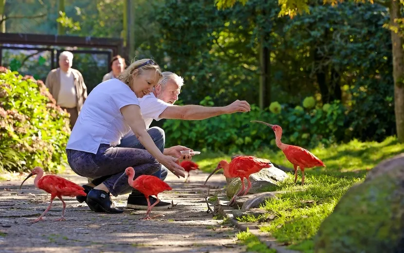 Vogelpark Walsrode