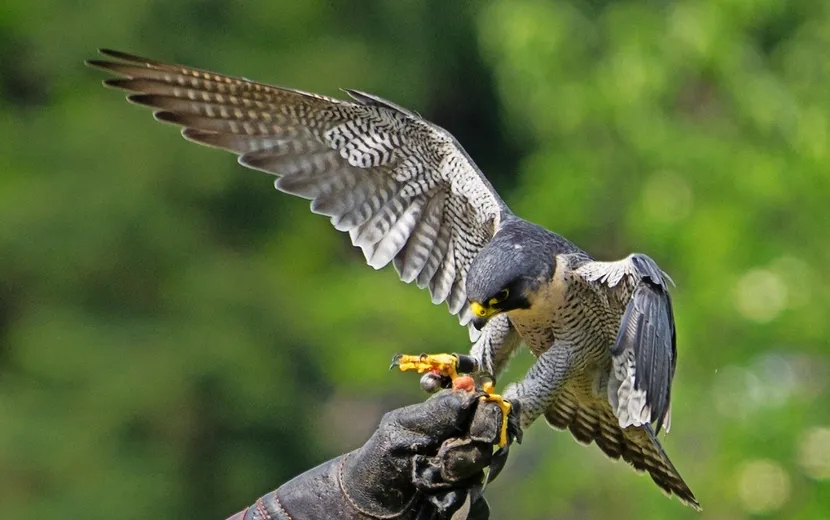 Vogelpark Walsrode