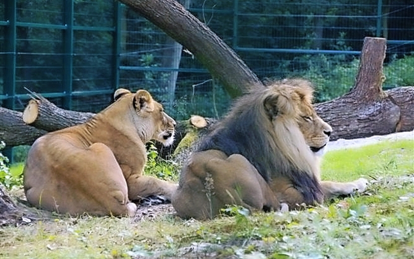 Tierpark Gera