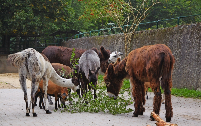Tierpark Gera
