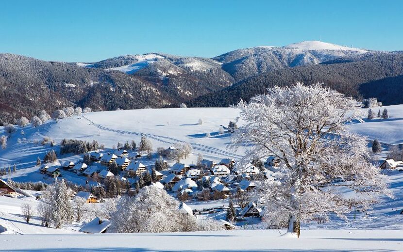 Schwarzwaldidylle