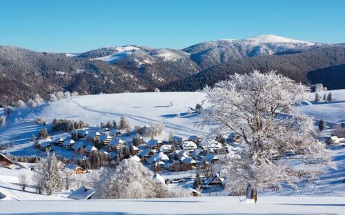 © Michael Zimberov - Fotolia Schwarzwaldidylle