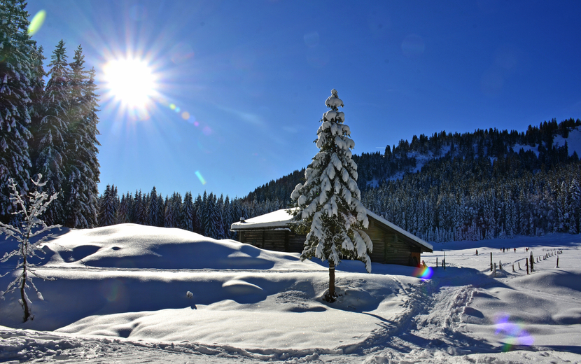 Skigebiet Postalm zwischen Abtenau und Strobl am Wolfgangsee