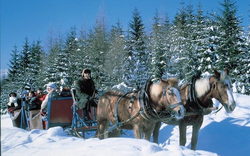 Pferdeschlitten fahren