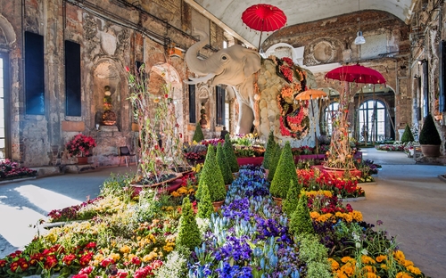 Dresdner Frühling im Palais