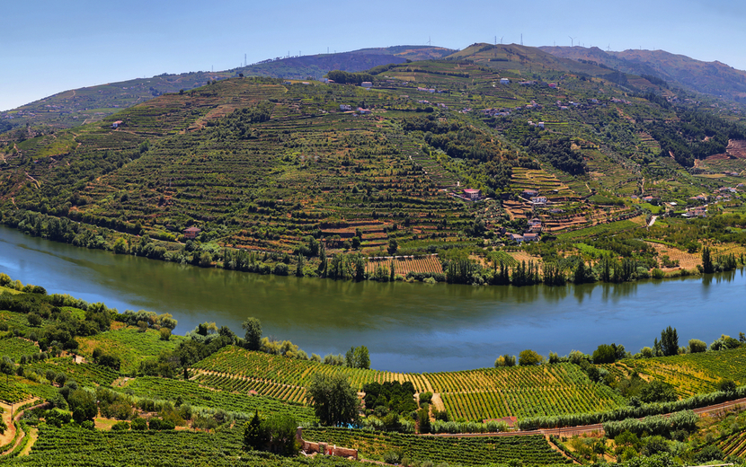 Douro-Landschaft