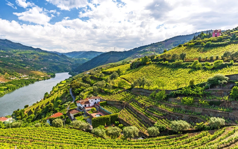Douro-Region