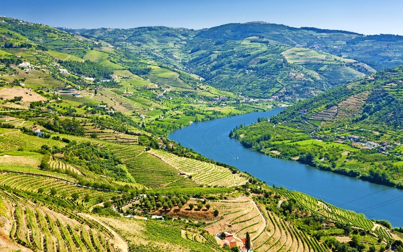 Douro-Landschaft